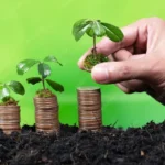 Choosing Between Mutual Fund Investment and PMS Investment Based on Risk Profile