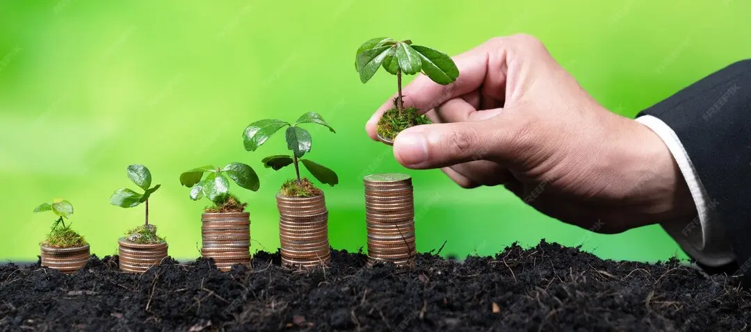 Choosing Between Mutual Fund Investment and PMS Investment Based on Risk Profile