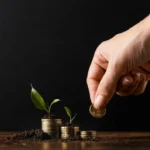 Making Your Idle Cash Work Harder with Top 5 Liquid Funds